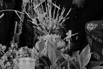 edit your wedding or events videos