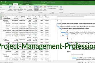 provide project management services, gantt charts, scheduling, etc