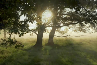 do drone shot royalty free 4k videos of nature