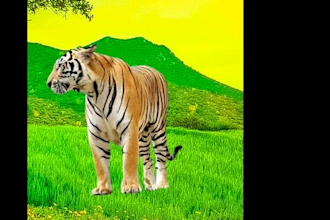 remove green screen from video