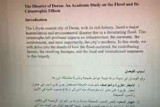 handle your arabic and english translation, typing and CV