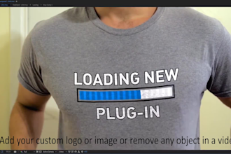 add or remove any object in your video