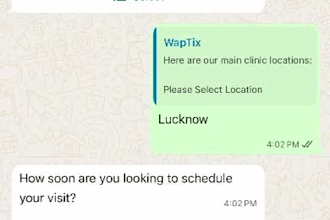 setup whatsapp automation, chatbot and bulk messaging system