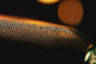 create hyper realistic ai ugc video ads for ecom brands