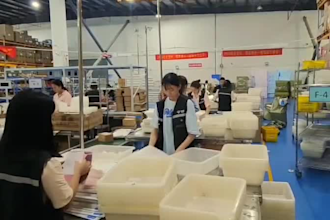 supply chinese supplier, chinese agent, drop shipping