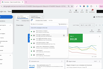 audit and optimize google ads search campaigns as an SEM specialist