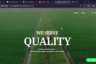 build creative wordpress portfolio websites for personal brand