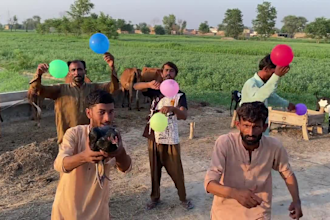 wish happy feathers day video or african happy birthday video