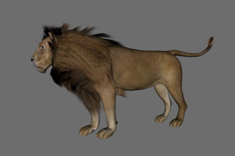 do any 3d product modeling, rig and animation