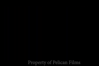 create a unique movie trailer for you in a very short time frame