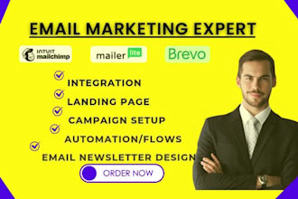 do your mailchimp brevo mailerlite email marketing campaign newsletters flows