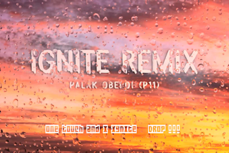 produce next level edm music , ghost production and remix
