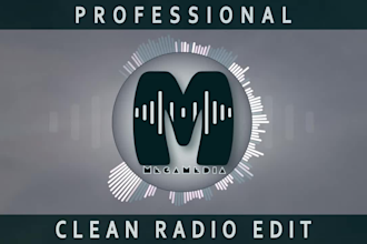 professionally create a clean radio version of your song