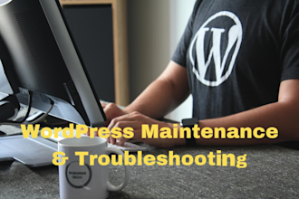 provide wordpress website maintenance and consultation