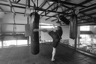 help you lose weight, get stronger and healthier