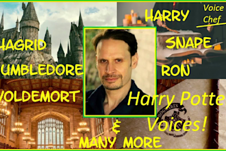 provide voice acting for your harry potter projects