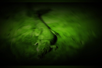 create unique lyrical music videos vintage, cinematic psychedelic styles