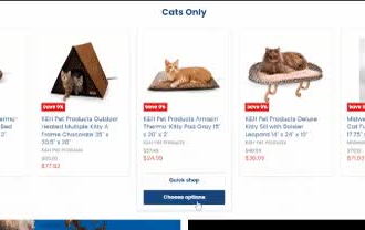 help you build a successful shopify store with expert design and optimization