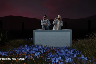 remove greenscreen,add vfx to music video,color grading,motion tracking,cgi edit