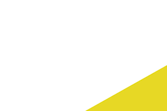 help grow your brand with ads, SEO, SMM,content strategies