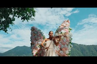 do professional wedding video editing and colorist