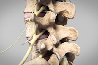 do 3d medical product animation, 3d medical animation video, 3d medical anatomy