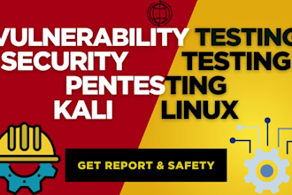 do penetration and vulnerability test with detailed report