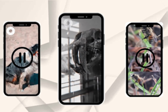 edit your tiktoks, yt shorts, and ig reels