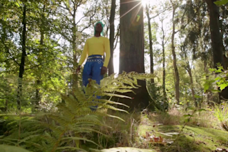 create special effects for your video