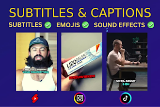 add subtitles and captions, video captions to your social media videos