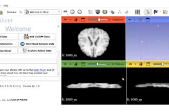 design cutting edge machine learning and deep learning models using real data