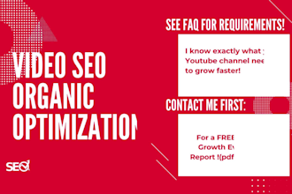 do youtube video SEO optimization and growth channel manager