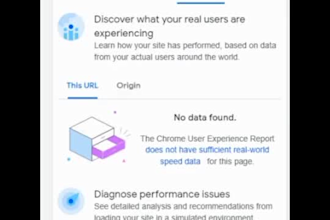 speed up wordpress optimization site and pagespeed insights