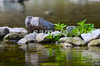create relaxation music video