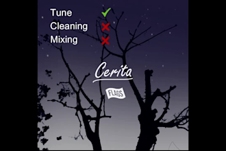 tune, clean, and mixing your vocal