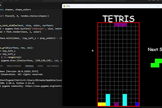build you a graphical 2d game with python and pygame