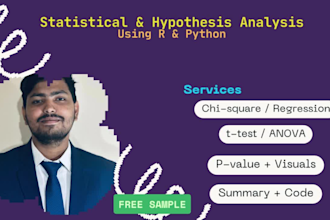 perform statistical testing and hypothesis analysis includes free samples