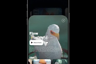 create stunning 3d models, UI designs, and animations for your project
