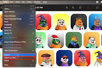create an app and web tutorial videos