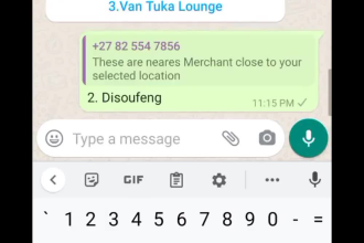 create whatsapp ai chatbot , website bot by manychat or python