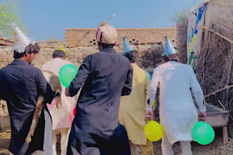african happy birthday video african happy birthday video