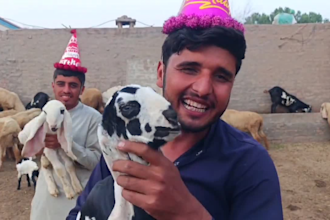 african happy birthday video african happy birthday video