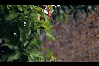 create a professional wedding videos,intro,trailer,cinematic