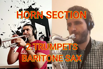 record you a HQ horn section sax, trumpet for your song