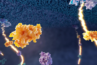 do 3d medical animation, biotech, pharma moa therapy scientific explainer video