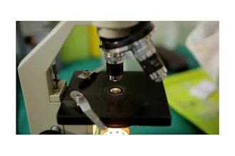 assist you in molecular biology and microbiology