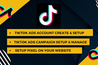 run, optimize and manage tik tok ads, tiktok marketing, tik tok ads campaign