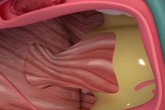 do custom medical and science animation video