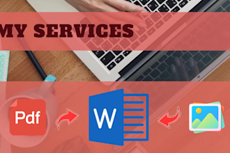 do fast, manual typing job, retype images, pdf to word, recreate 24h, typist