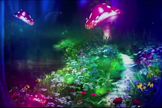 create fantasy meditation,yoga, chakra, rain videos with relaxed music